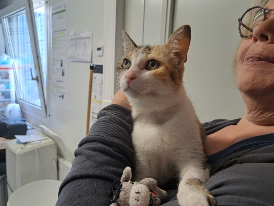 Photo de Daphne