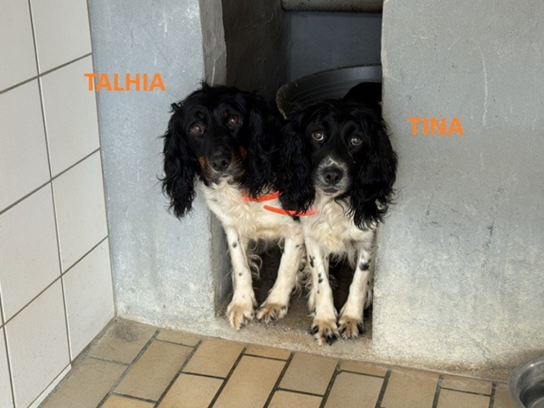 Photo #1 de Tina