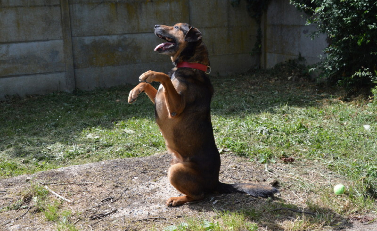 Photo #2 de MaloÏ