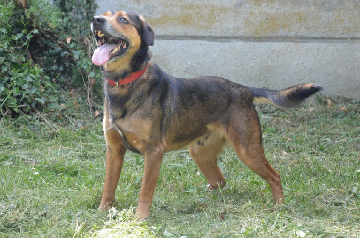 Photo #4 de MaloÏ