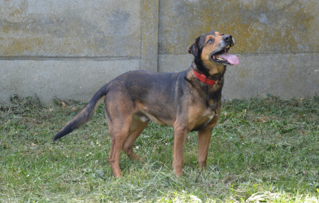 Photo #6 de MaloÏ