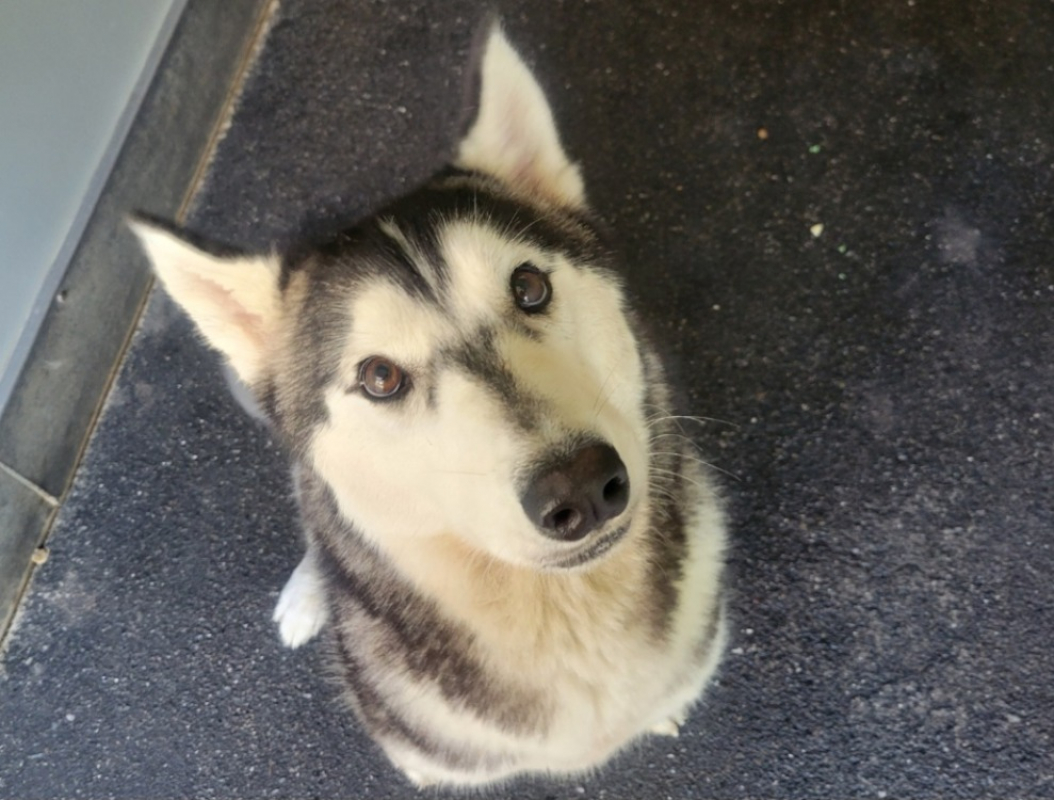 Photo de Ushka