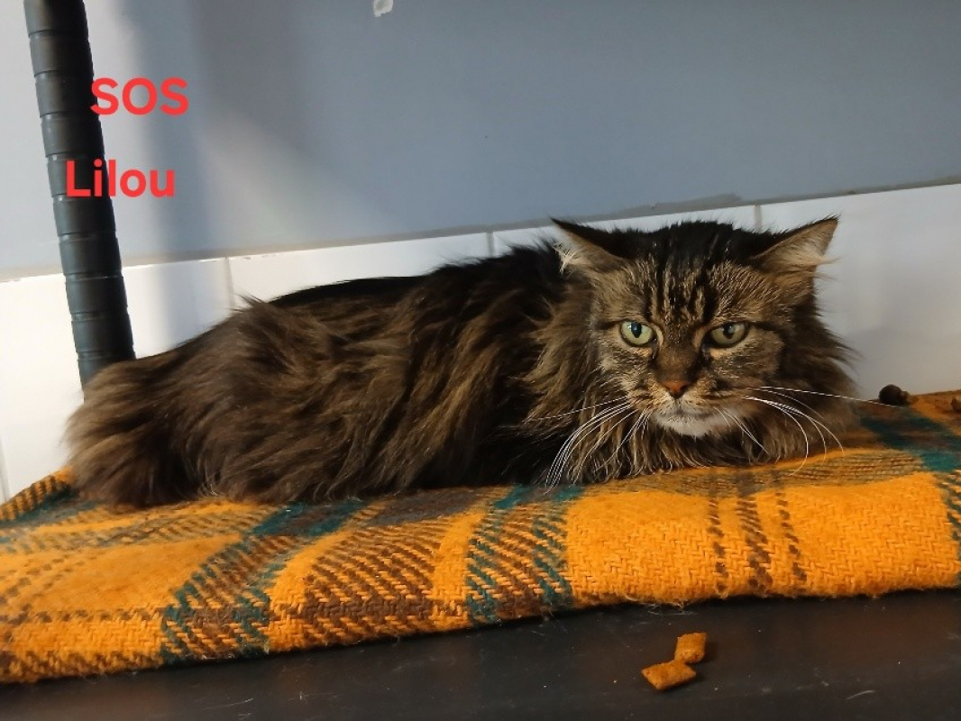 Photo de Lilou
