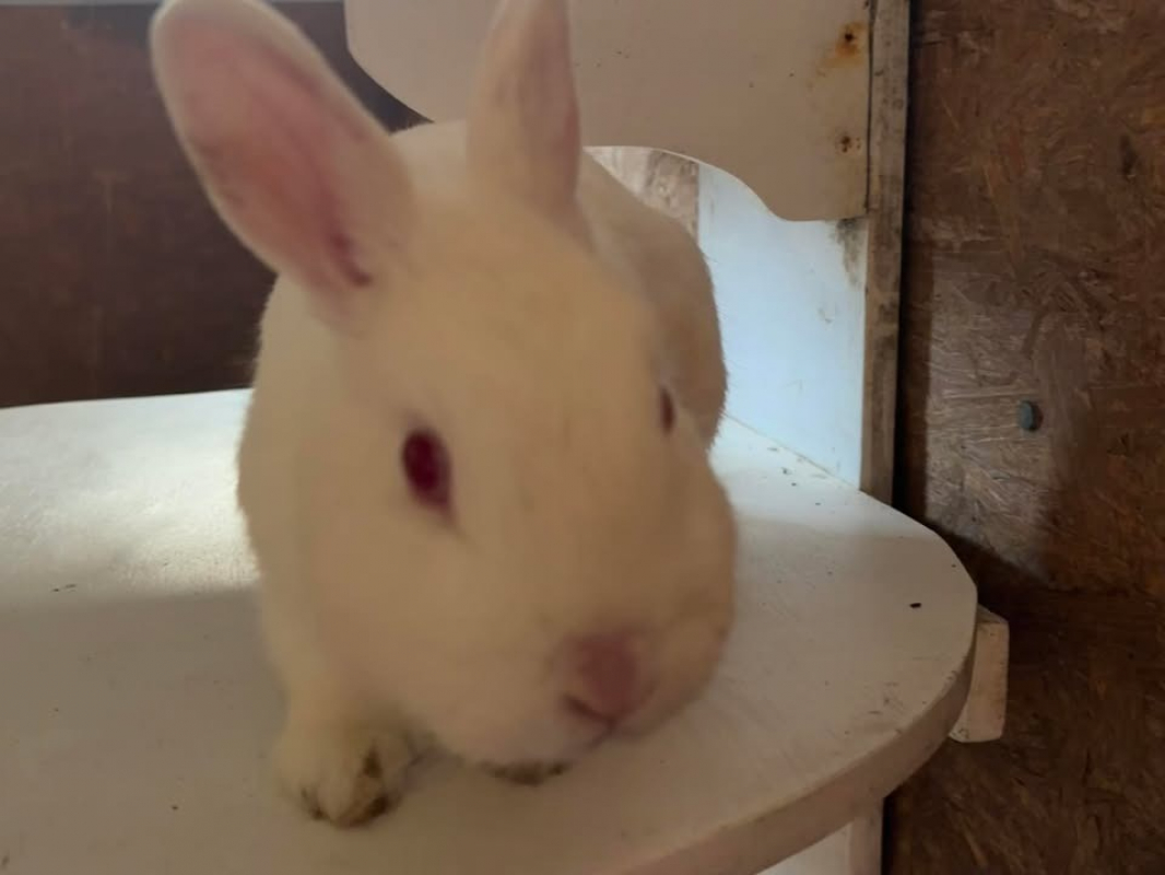 Photo de Azélie