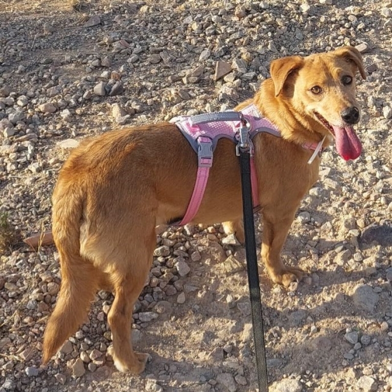 Photo de Maisy
