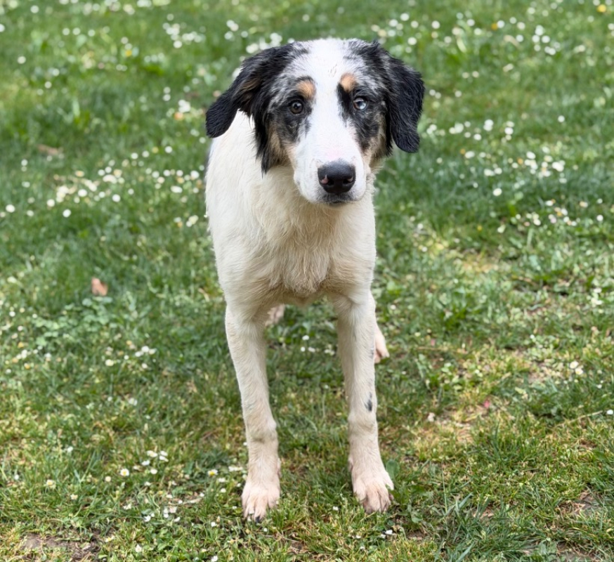 Photo de Zuko