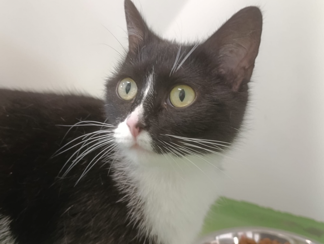 Photo de Osaka