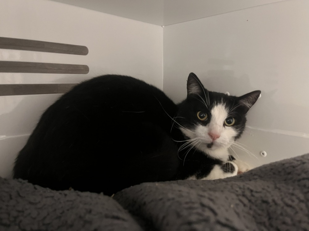 Photo de Figaro