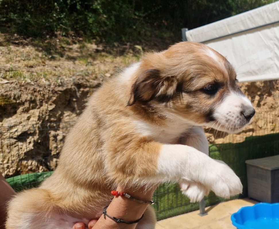 Photo #4 de Baya