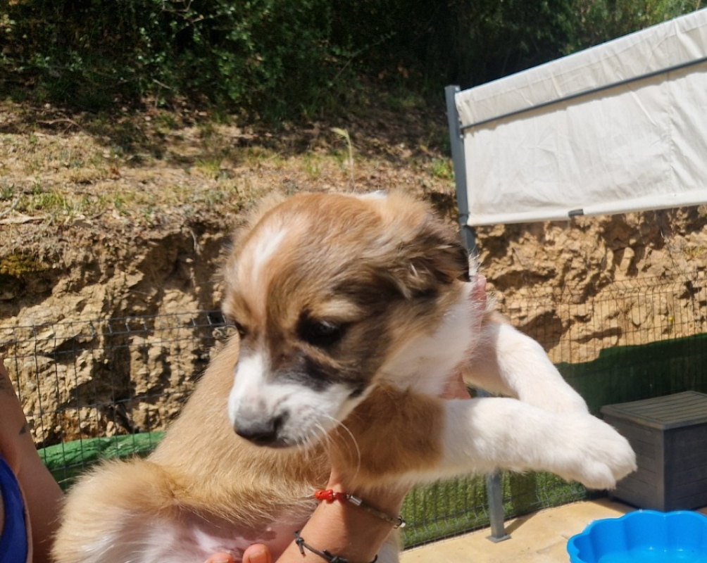 Photo #10 de Baya
