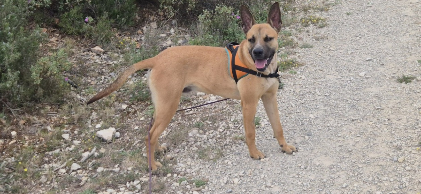Photo #3 de Sagradoule