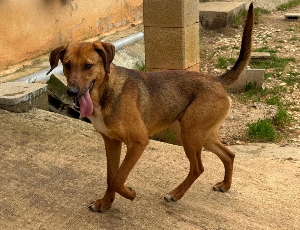 Photo #1 de Yuki
