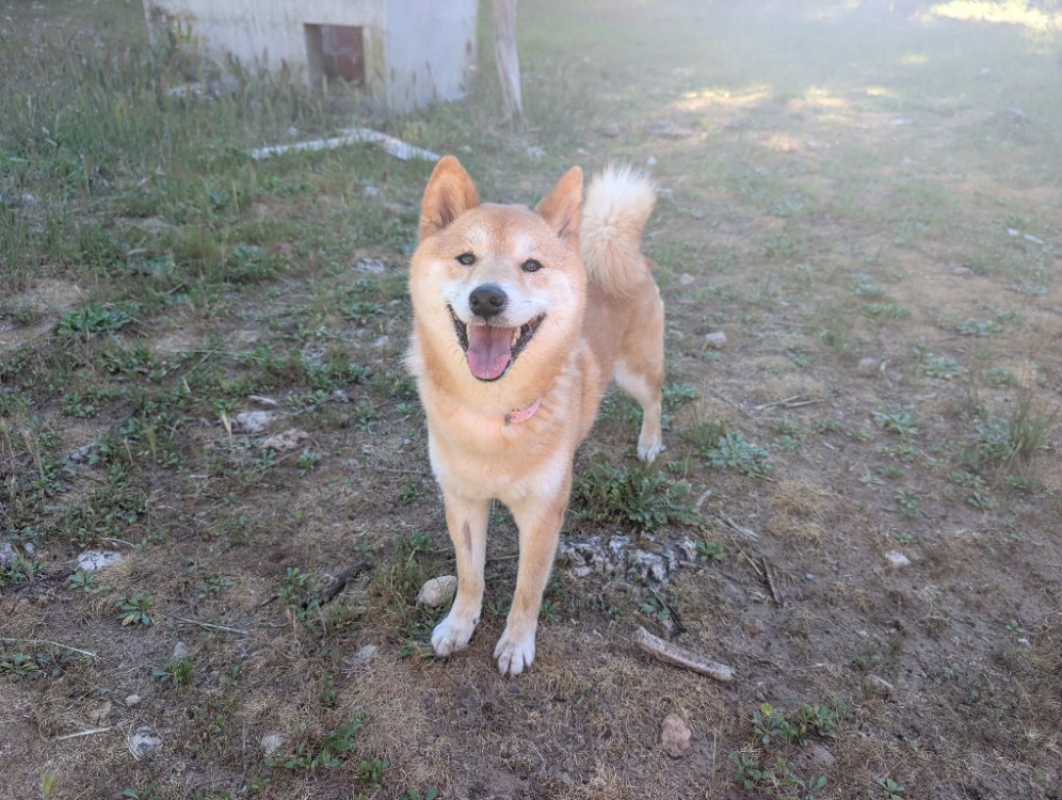 Photo #1 de Yuna
