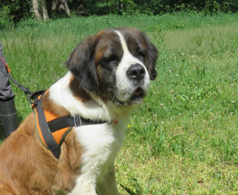 Photo #1 de Missie