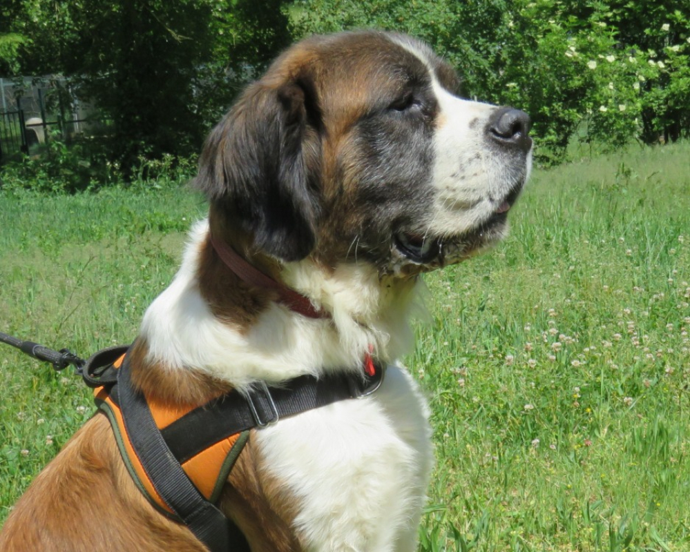 Photo #2 de Missie