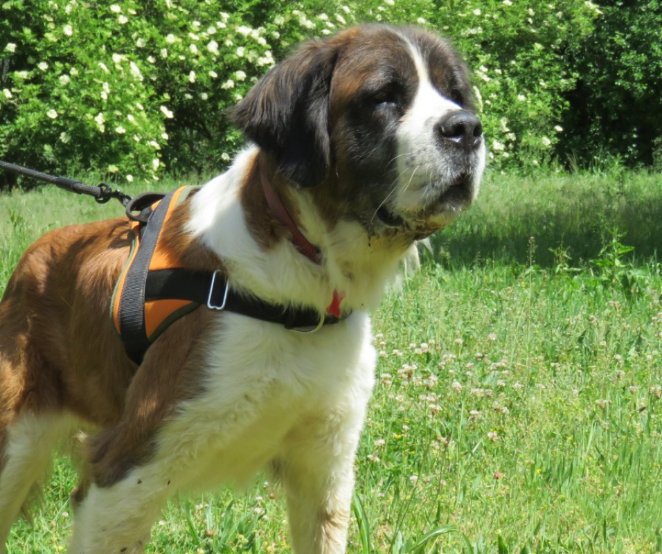 Photo #3 de Missie