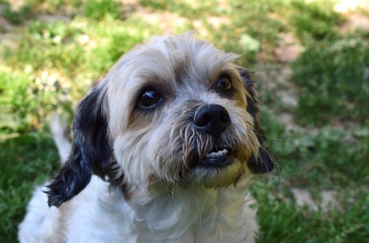 Photo #3 de Gabin
