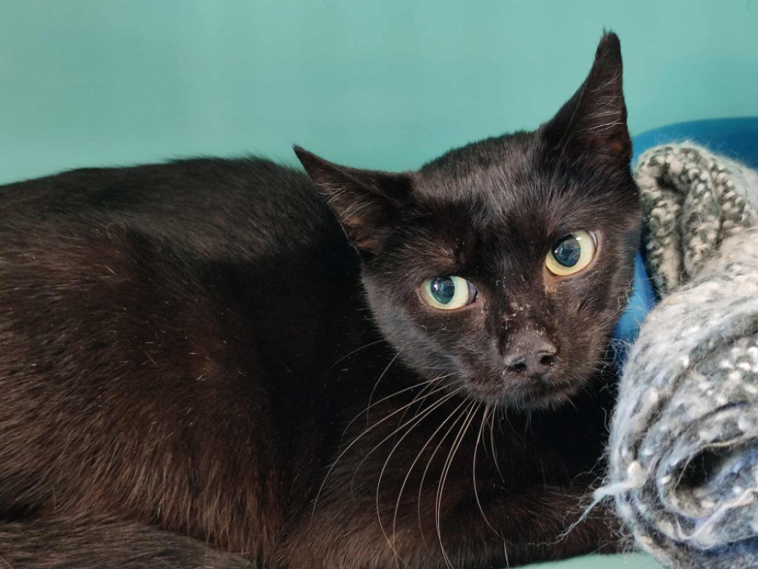 Photo #1 de Tetine qct