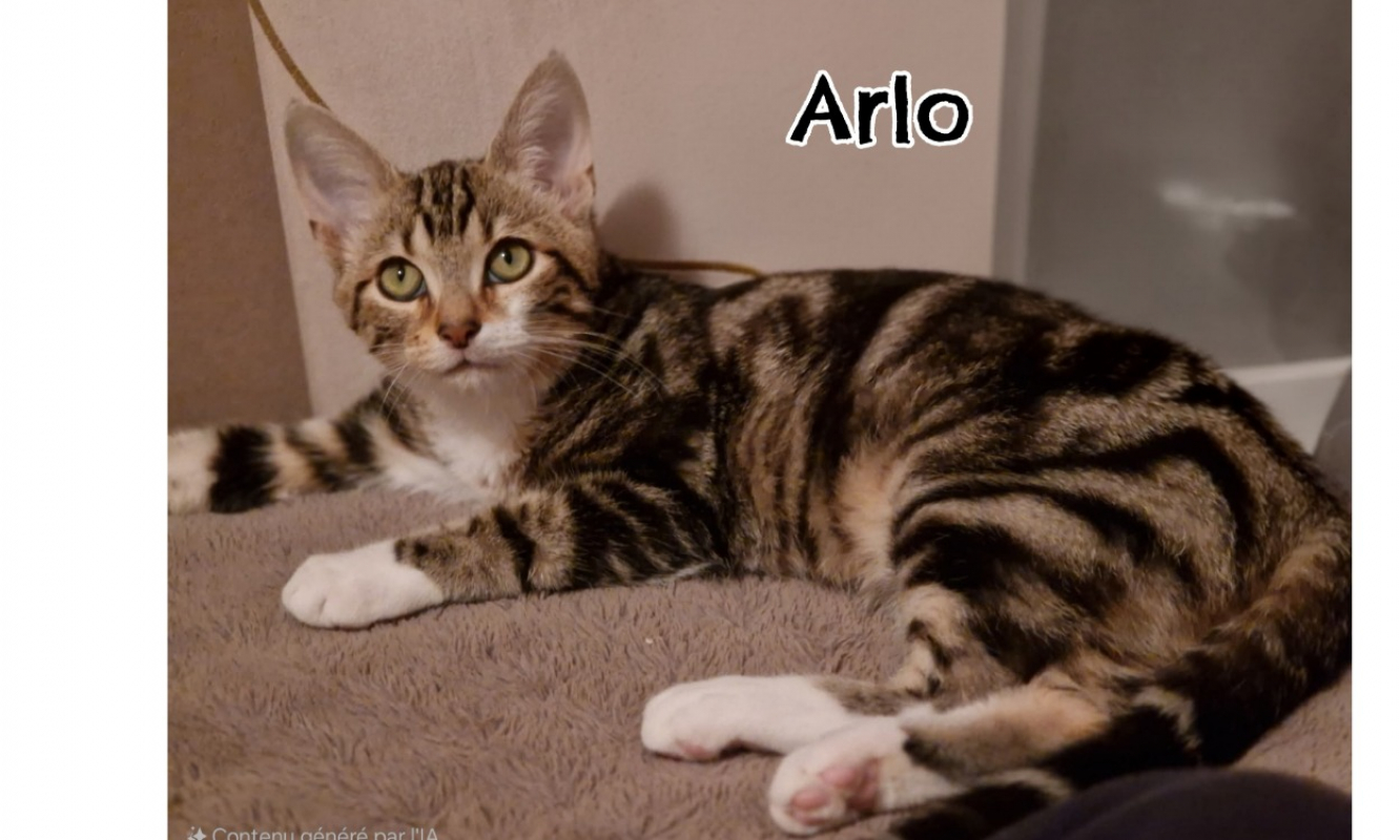 Photo de Arlo