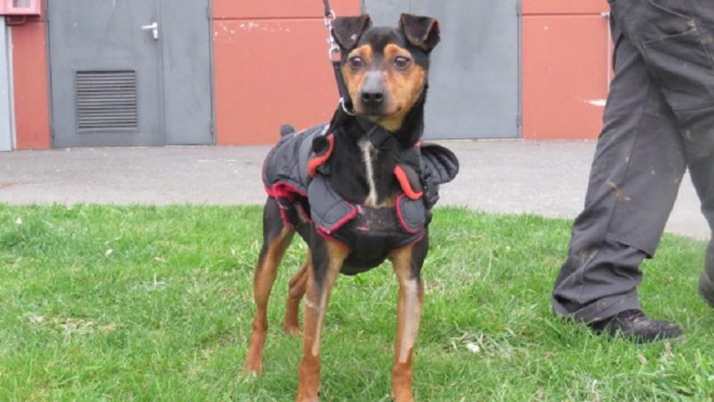 Photo #3 de Malou
