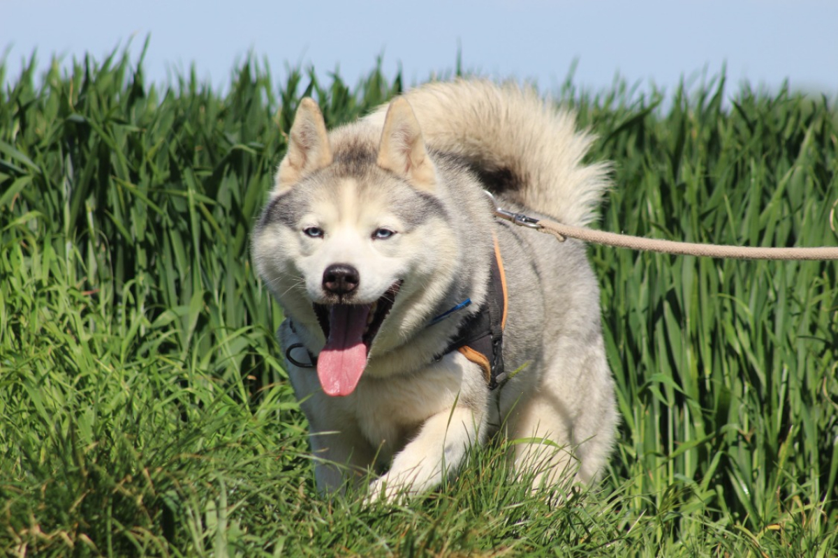 Photo #8 de Lucky