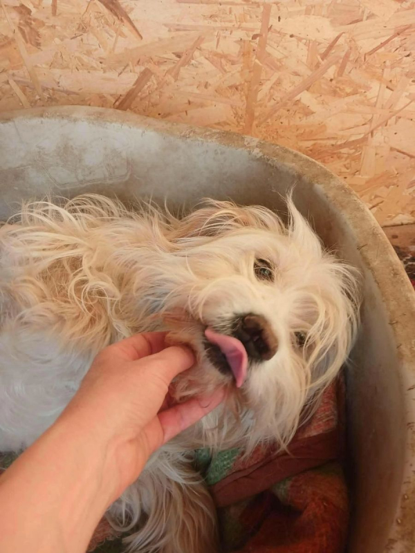 Photo #6 de LUCKY