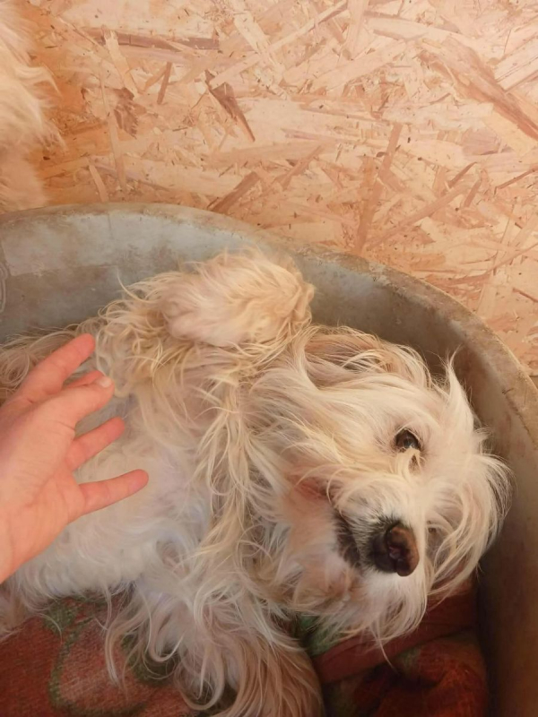 Photo #5 de LUCKY