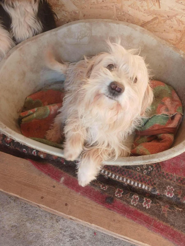 Photo #3 de LUCKY