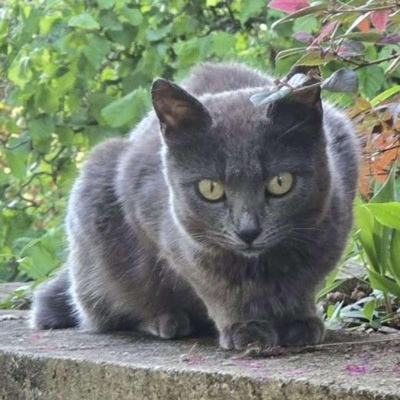 Photo de Salsa