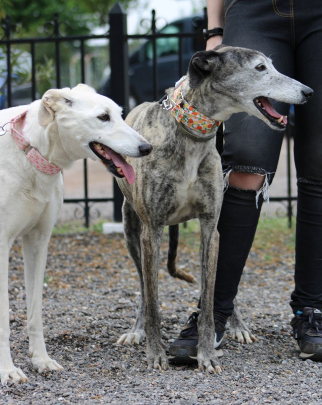 Photo #2 de Dalila et Brava