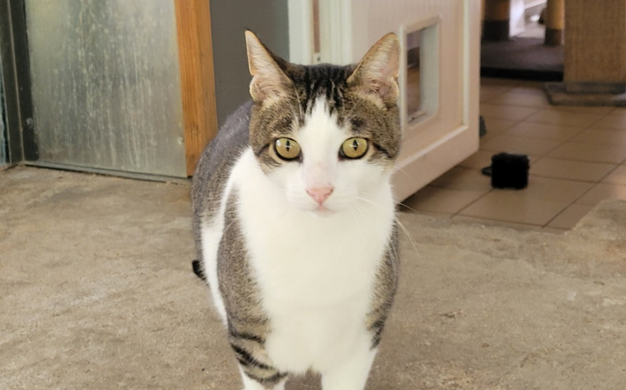 Photo de Bibiche