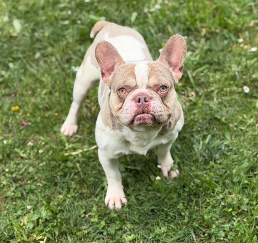 Photo de Woody