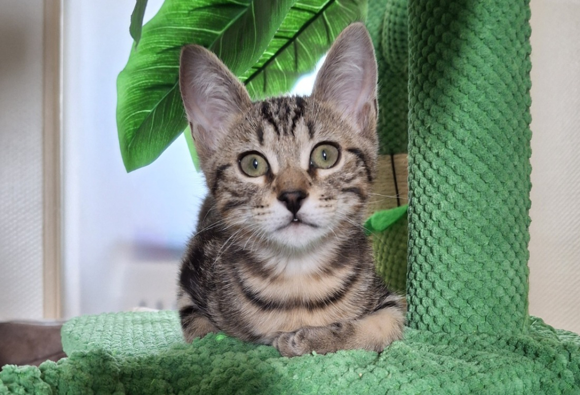 Photo de Bulle