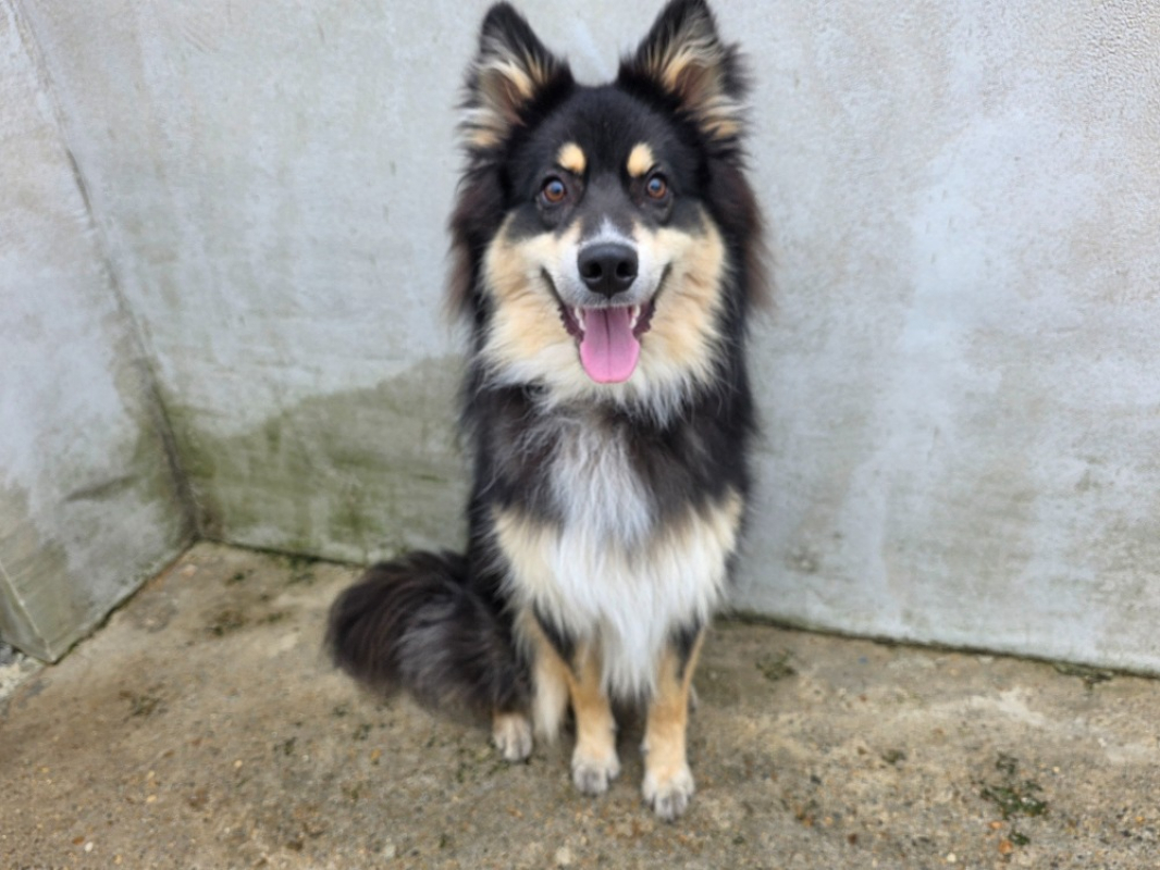 Photo de Athos