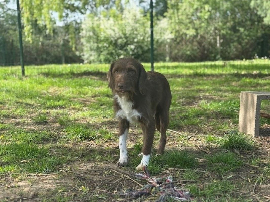 Photo de Moka