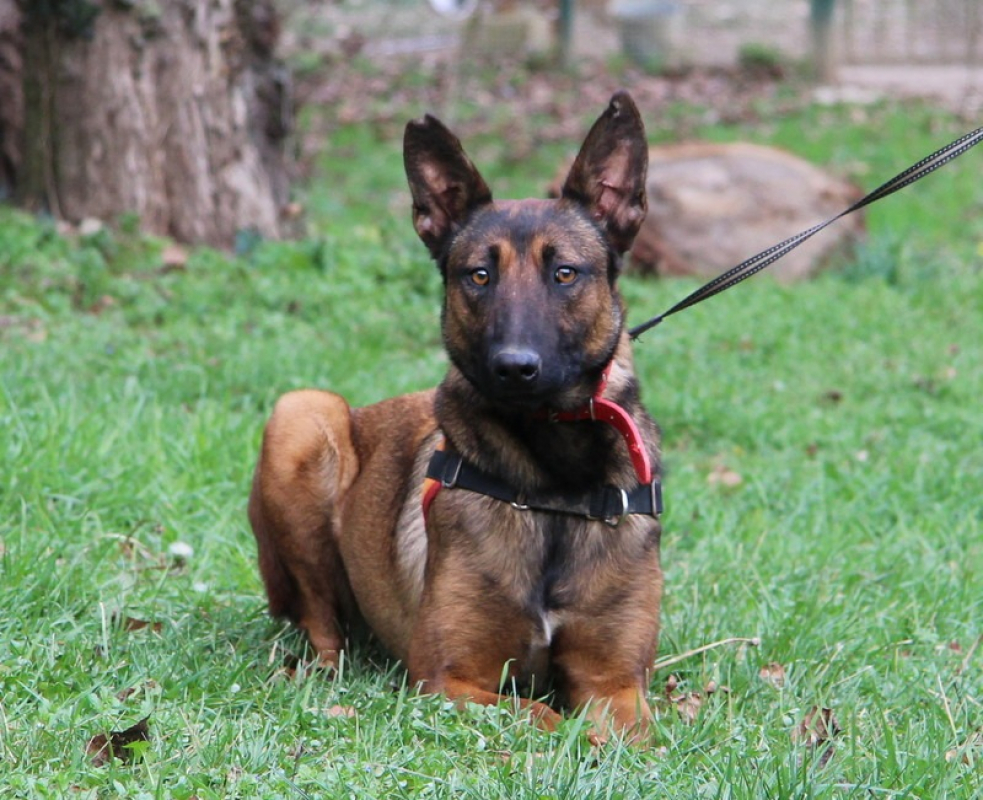 Photo #4 de Maya