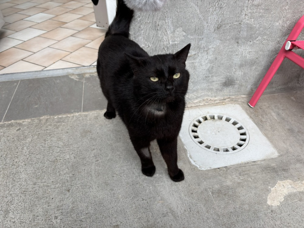 Photo de Salem