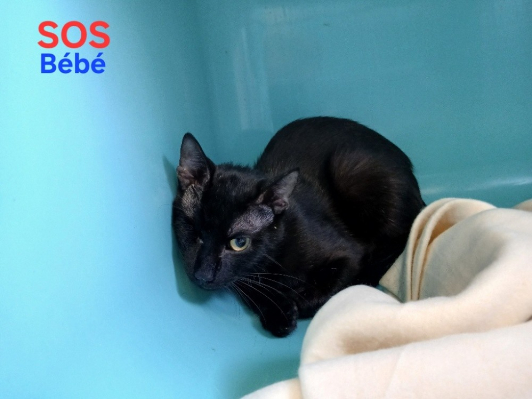 Photo de Bébé