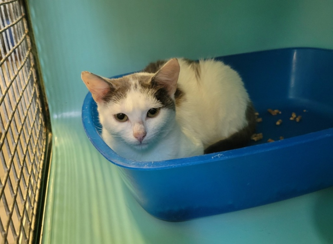 Photo de Miminou