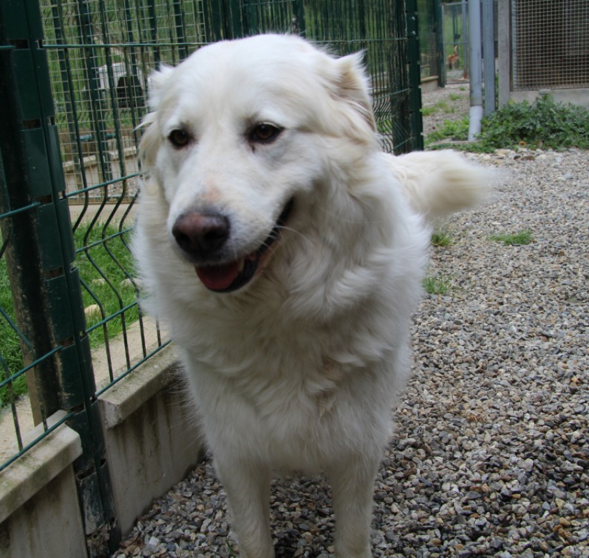 Photo de Puxka