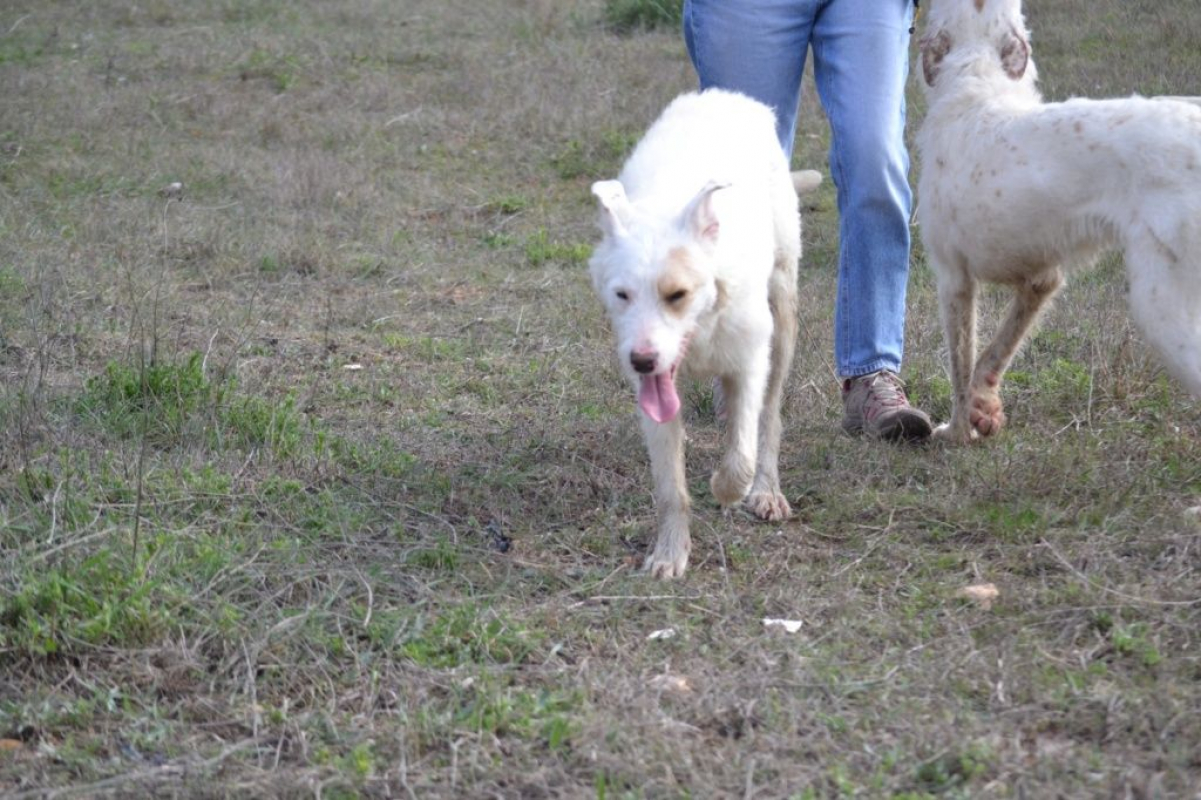 Photo #1 de MASHA