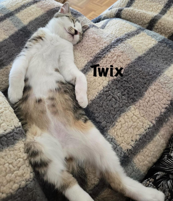 Photo #9 de TWIX
