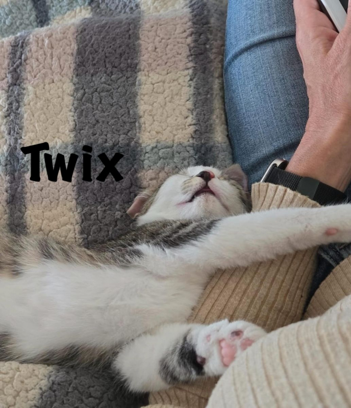 Photo #5 de TWIX