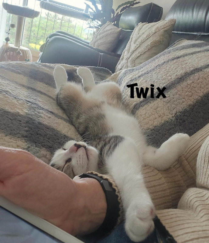 Photo #3 de TWIX