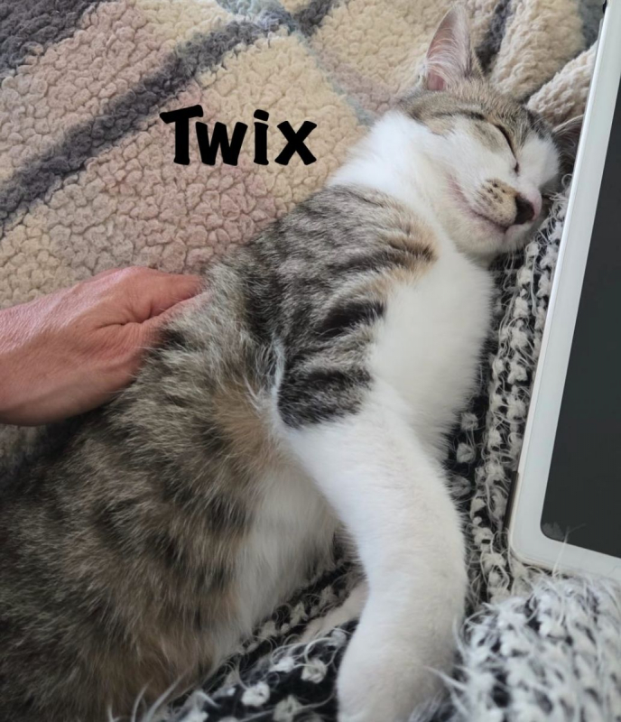 Photo #4 de TWIX