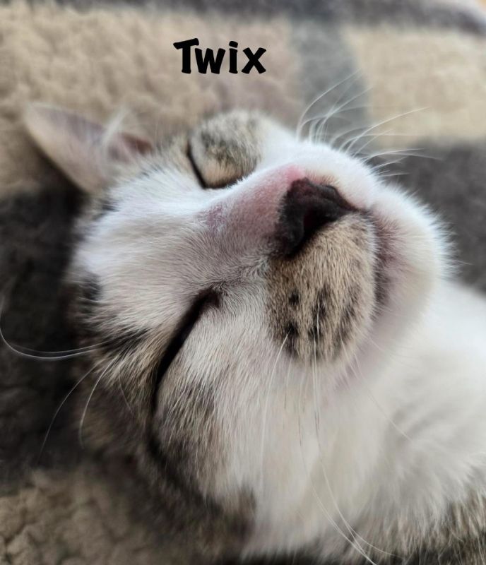 Photo #8 de TWIX