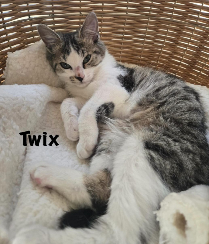 Photo #2 de TWIX