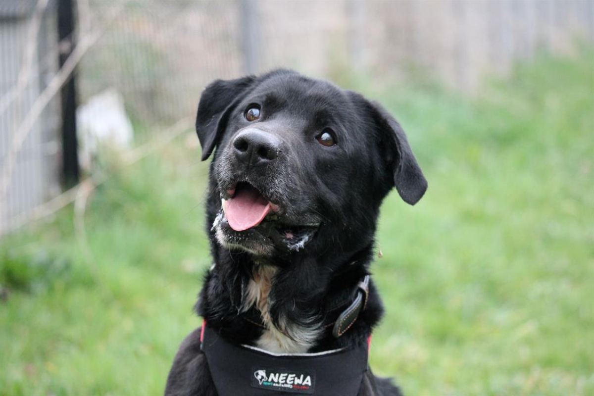 Photo #2 de Ptolemee