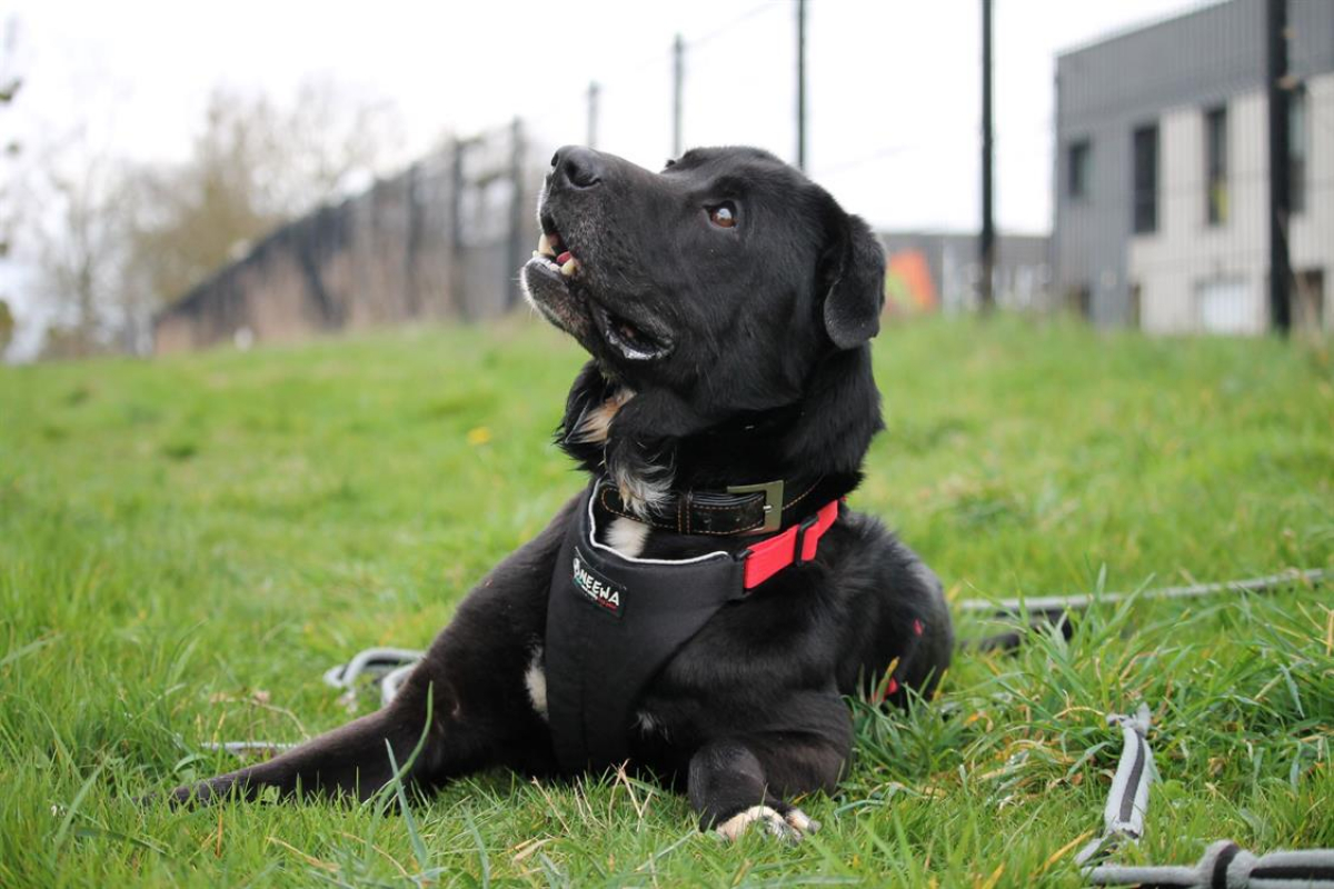 Photo #11 de Ptolemee