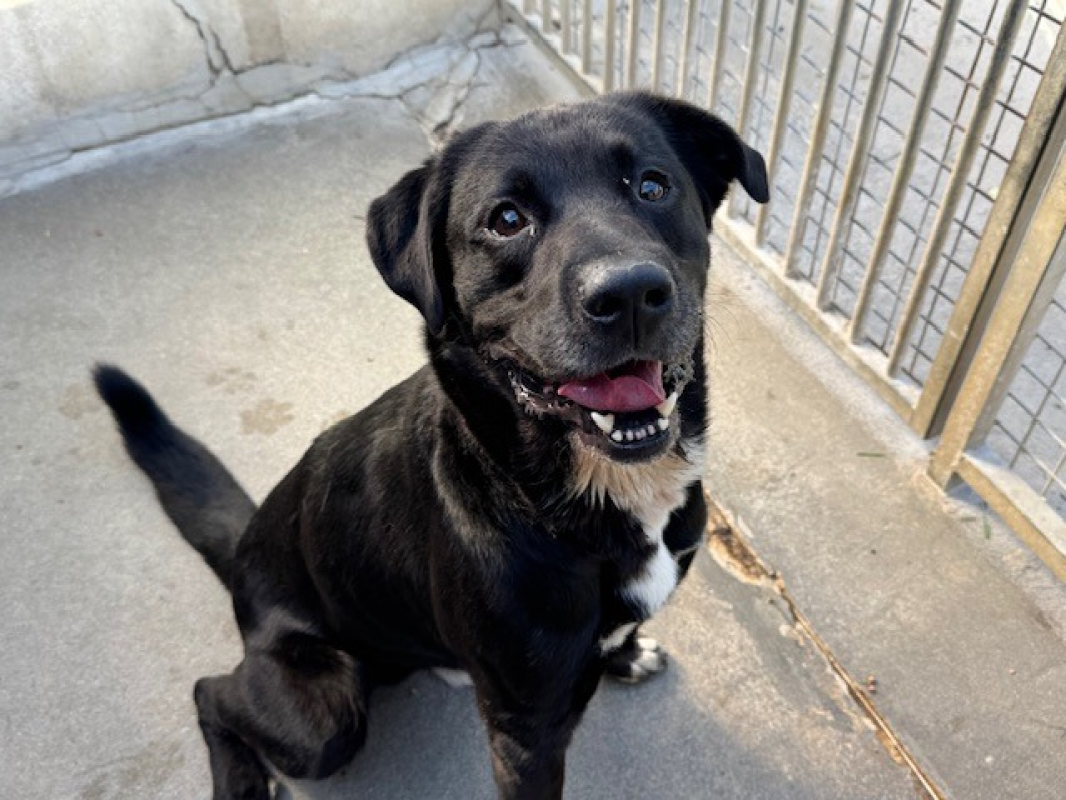 Photo #13 de Ptolemee